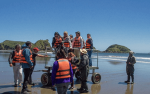 tour chiloe magico turismo paraiso del sur