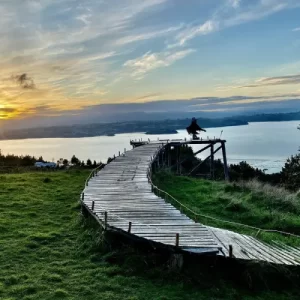 Tour Ruta de los Muelles