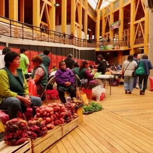 City Tour por castro